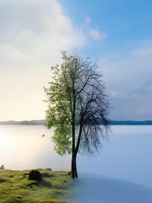 cover image of Seasons